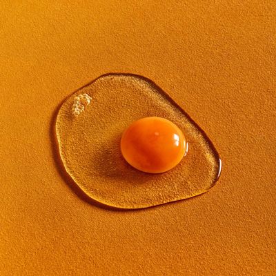 Fried Egg on Orange
