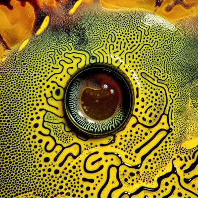 Eye of the Sea