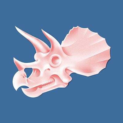 Design & Illustration