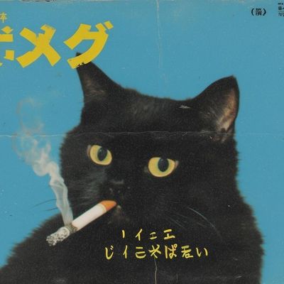 Black Cat Smoking