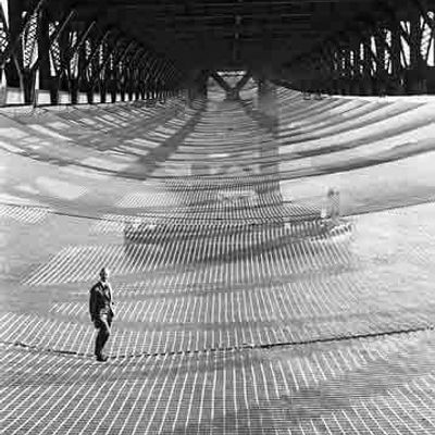 Under the Pier
