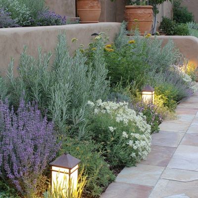 Soothing Garden Path