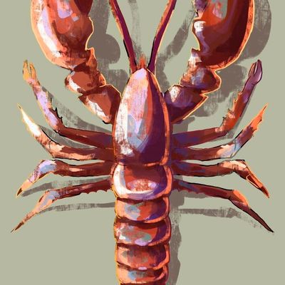 Crayon Lobster