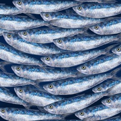 School of Blue Fish