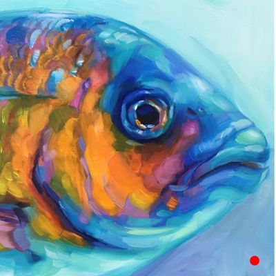Colorful Fish Portrait