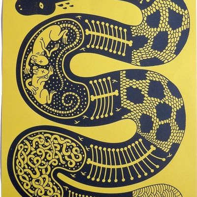 Snake Skeleton Art