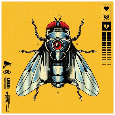 Cyborg Fly