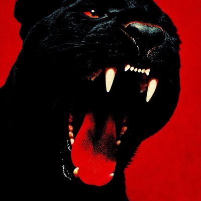 Dark Panther Roaring