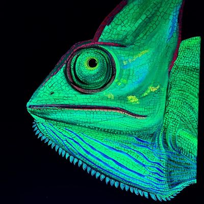Chameleon in Neon
