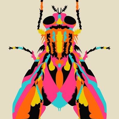 Colorful Insect Art