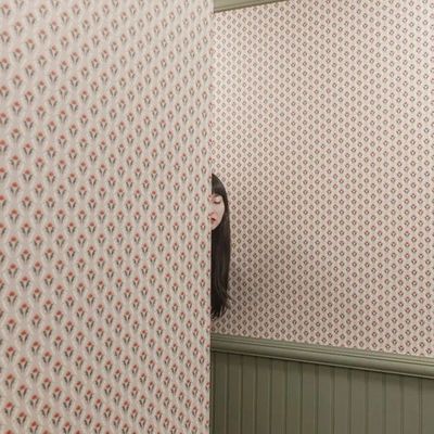 Patterned Wall with Hair