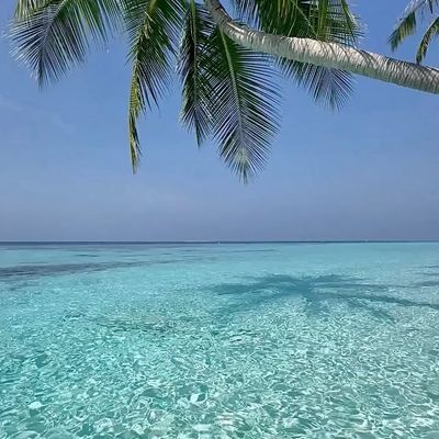 Tropical Paradise