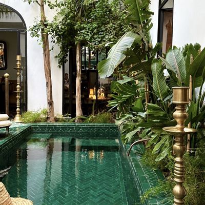 Tropical Oasis Pool