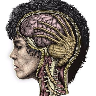 Anatomical Illustration of Human Head with An Alien Facehugger
