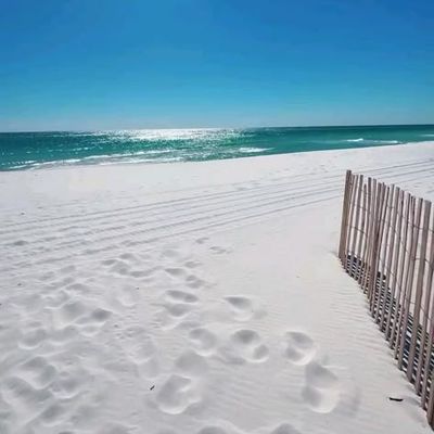 Sunny Beach with White Sand and Ocean