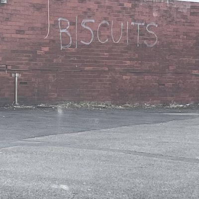 Graffiti Wall: Biscuits graffiti brick wall urban spray paint textured