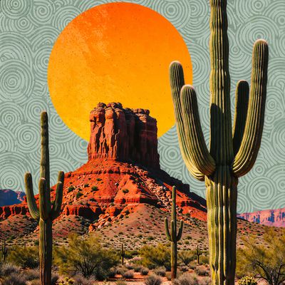 Desert Sunset with Saguaros
