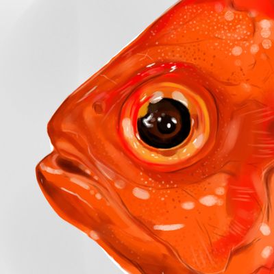Fiery Fish