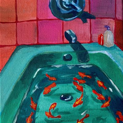 Goldfish in Sink