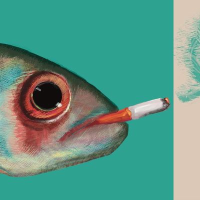 Fish Smoking Cigarette