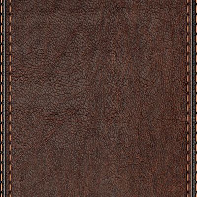 Leather Texture with Stitched Edges