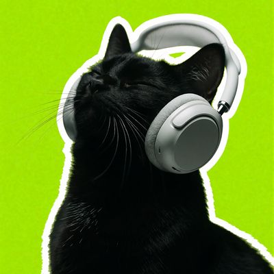 Cat Listening to Music cat headphones listening music