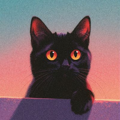 Black Cat at Sunset