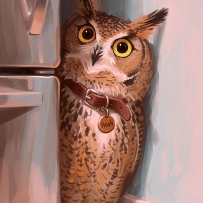 Owl on a Shelf paint drawing color composition