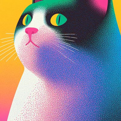 Colorful Cat Portrait