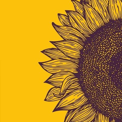 Sunflower Sketch sunflower drawing sketch yellow nature