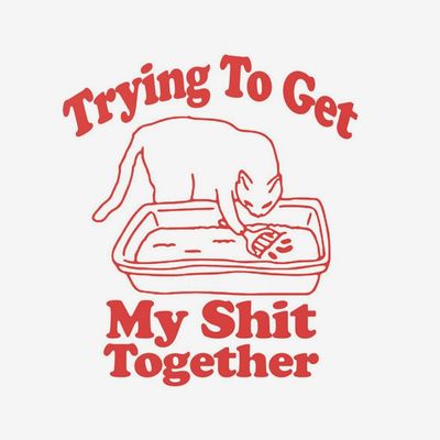 Trying to Get My Shit Together