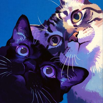 MEOW