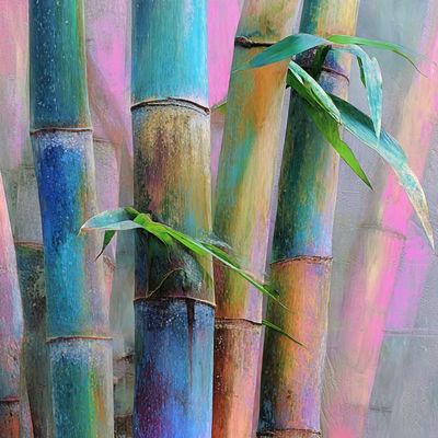 Colorful Bamboo